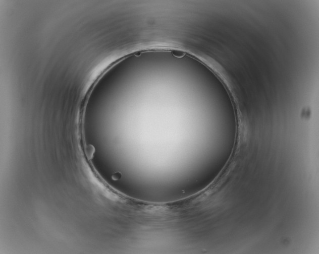 X0000113121006200908281433