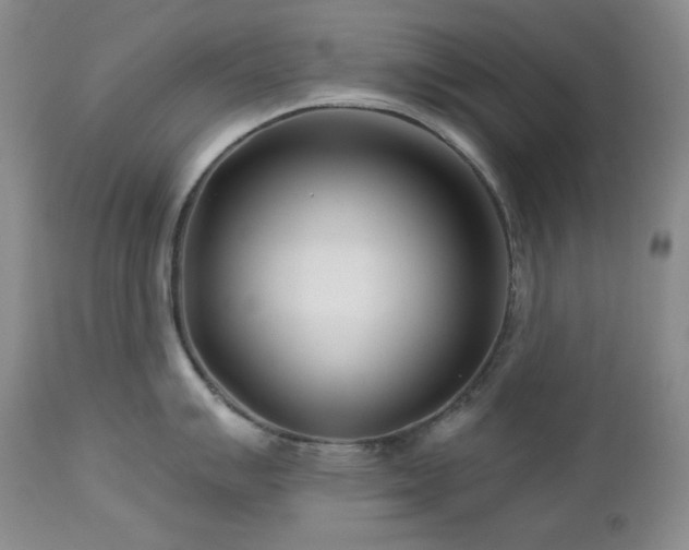 X0000113121007200908281433