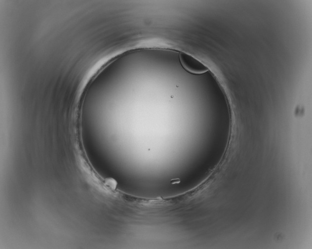 X0000113121008200908281433