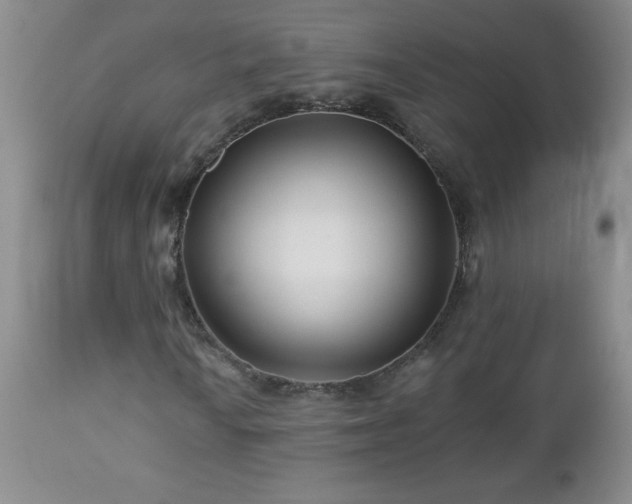 X0000113121010200908281432