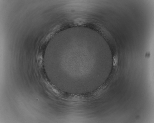 X0000113121011200908281433