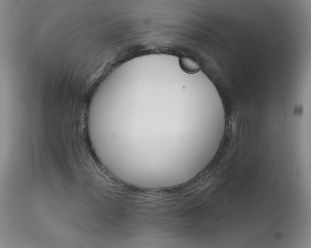 X0000113121012200908281433