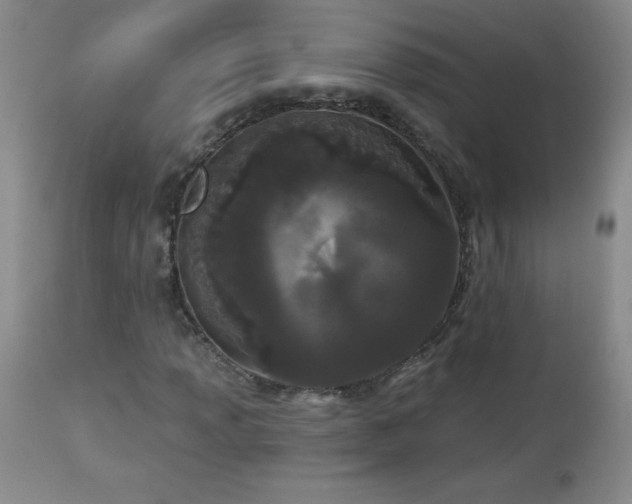 X0000113121013200908281433