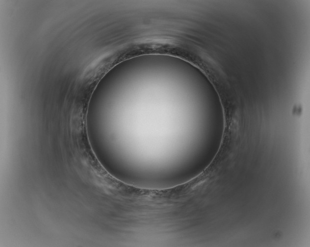 X0000113121014200908281433