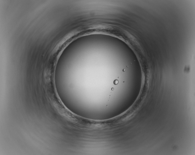 X0000113121017200908281433