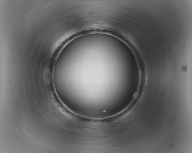 X0000113121018200908281433