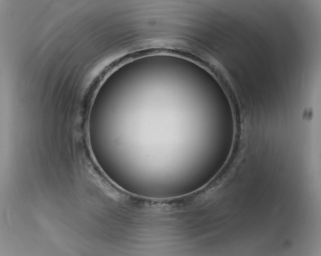 X0000113121019200908281433