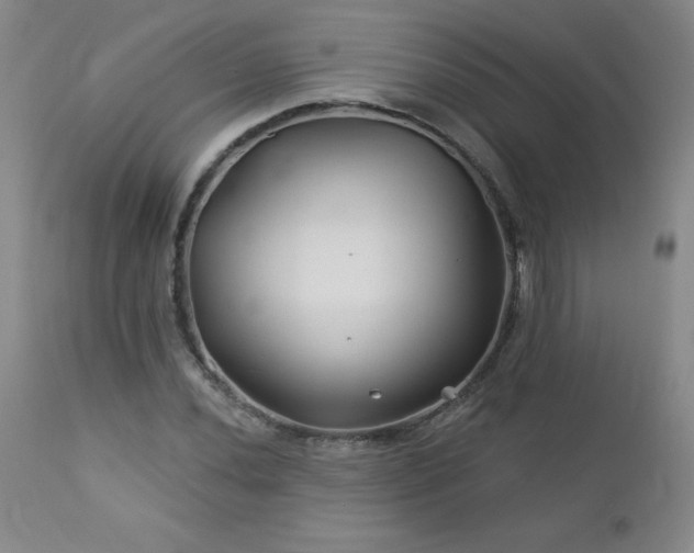 X0000113121020200908281433