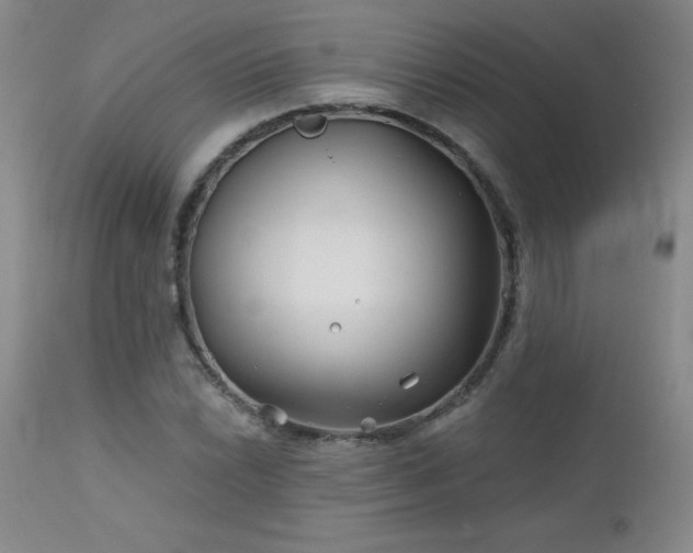 X0000113121022200908281433