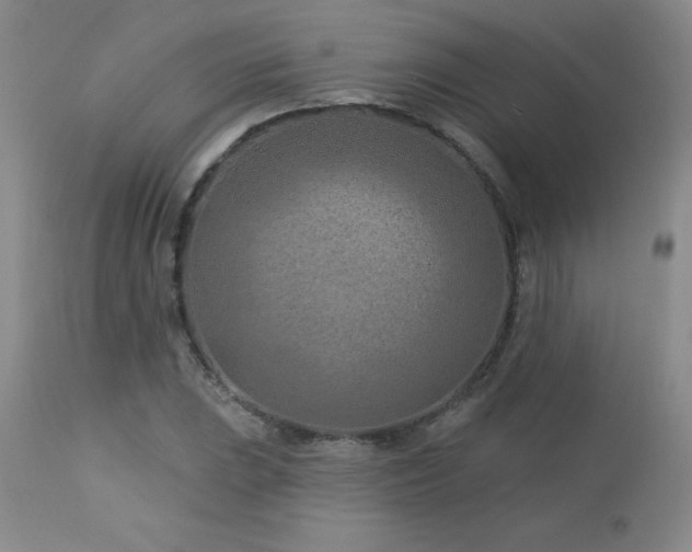 X0000113121023200908281433