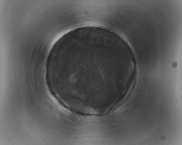 X0000113121024200908281433