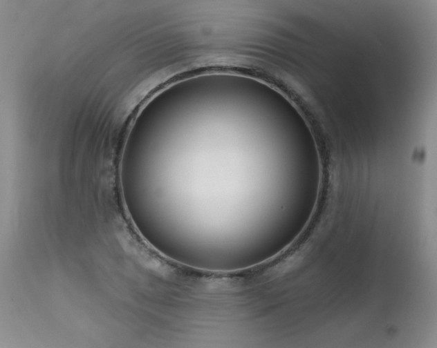 X0000113121025200908281433