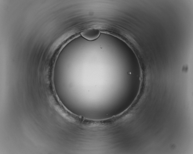 X0000113121026200908281433