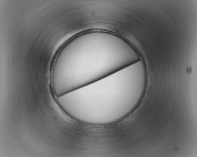 X0000113121028200908281433