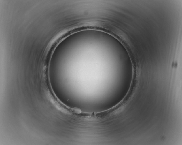 X0000113121029200908281433