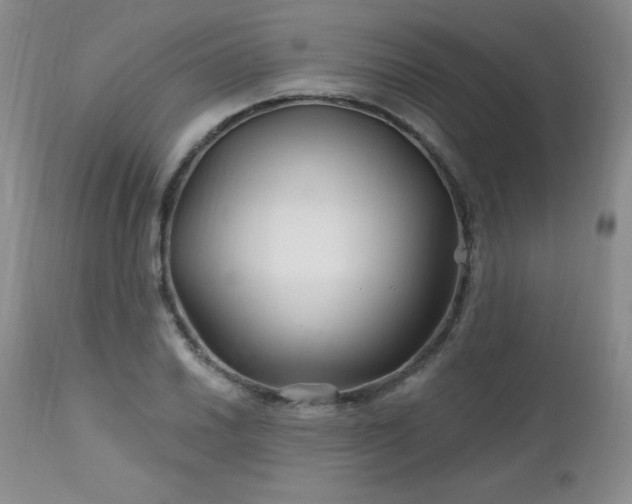 X0000113121030200908281433