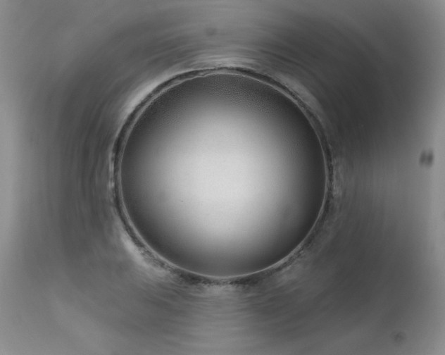 X0000113121031200908281433