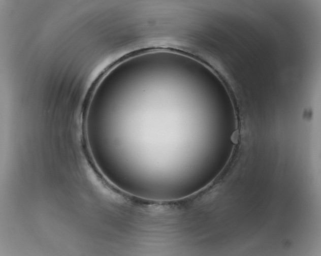 X0000113121032200908281433