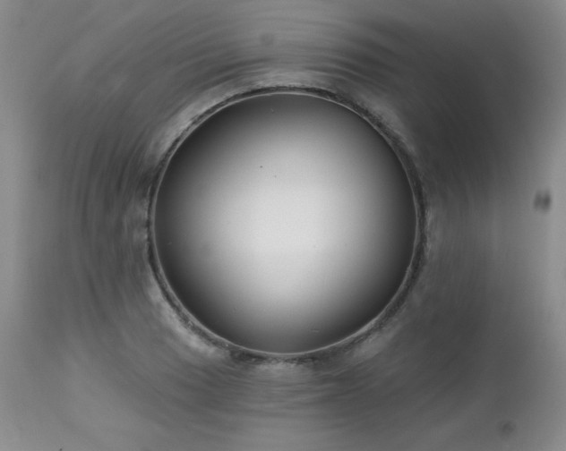 X0000113121033200908281433