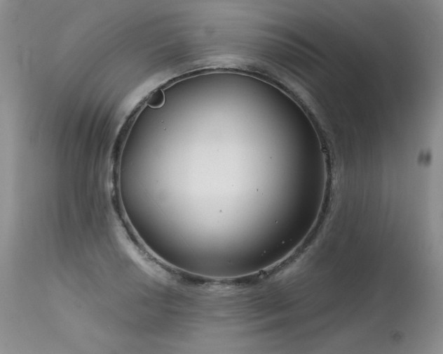 X0000113121034200908281433