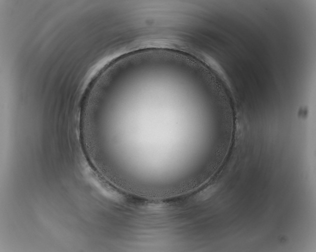 X0000113121035200908281433