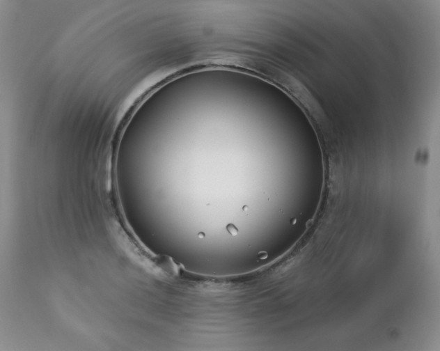 X0000113121036200908281433