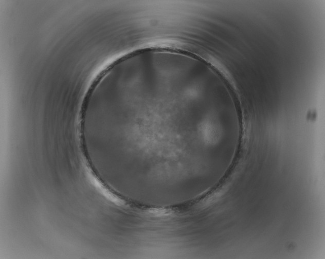 X0000113121037200908281433