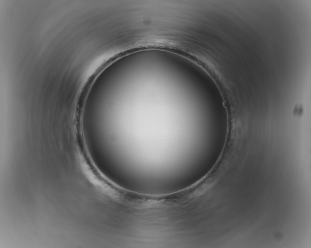 X0000113121038200908281433