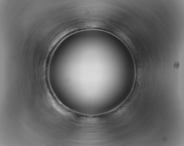 X0000113121039200908281433