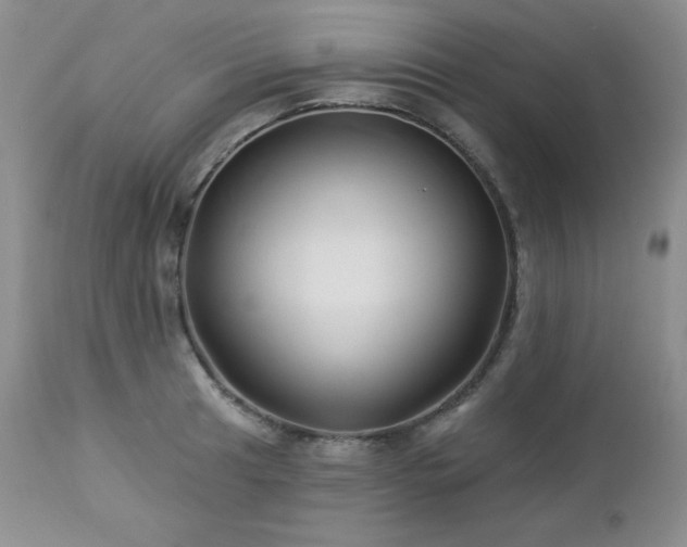 X0000113121041200908281433