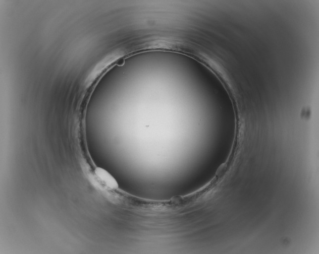 X0000113121042200908281433