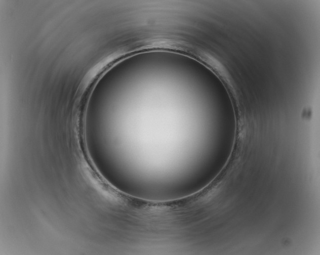 X0000113121043200908281433