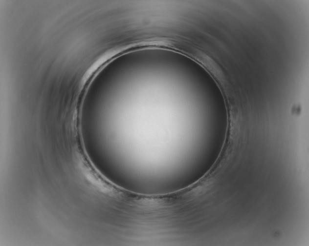 X0000113121044200908281433