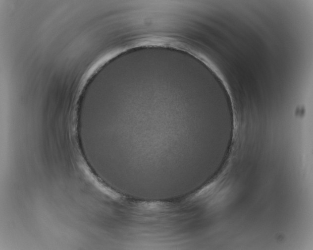 X0000113121045200908281433