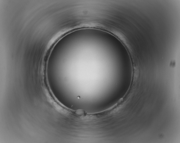 X0000113121046200908281433