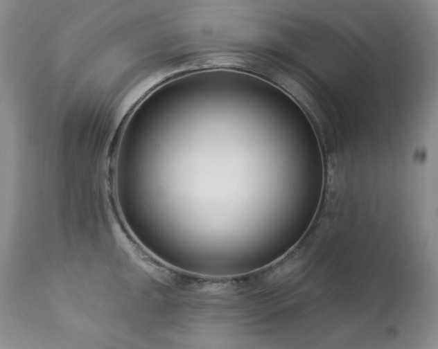 X0000113121047200908281433