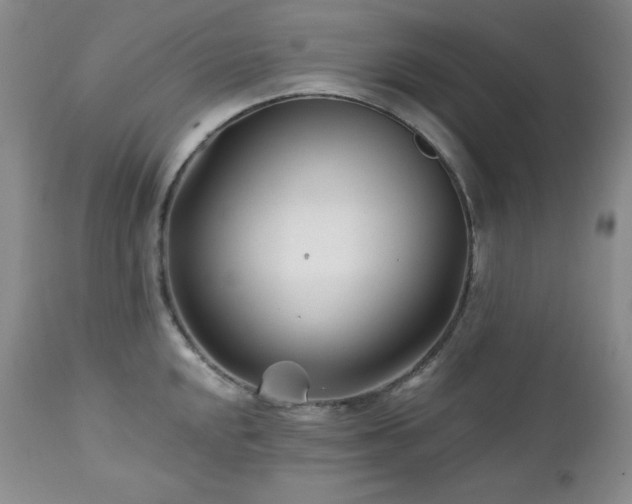 X0000113121048200908281433