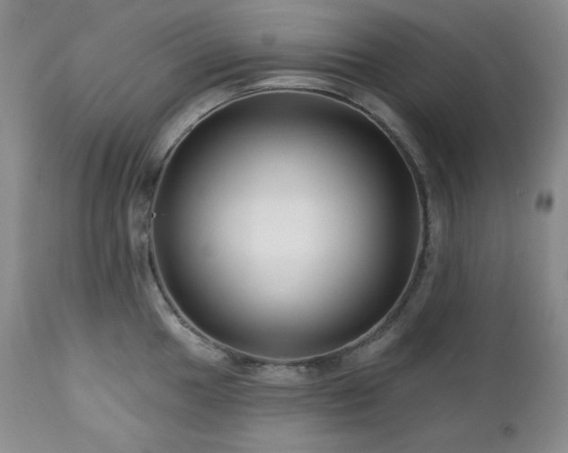 X0000113121049200908281433