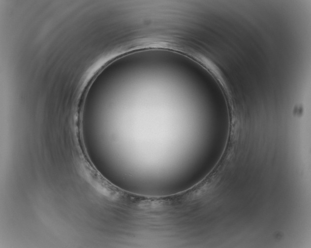 X0000113121051200908281433