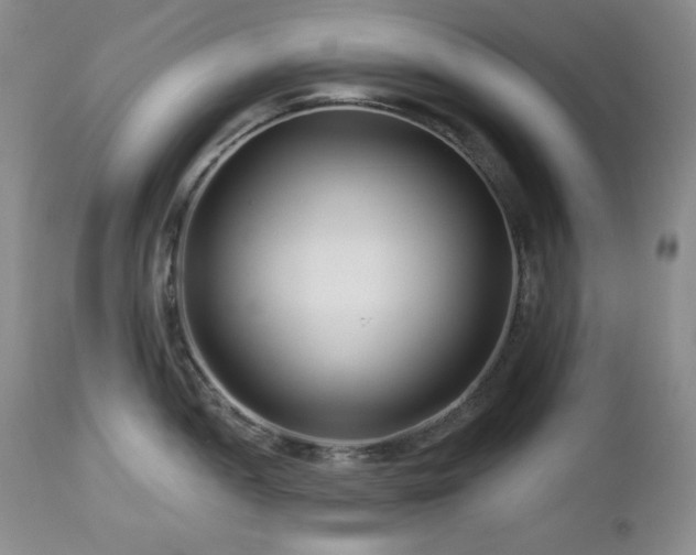 X0000113121052200908281433