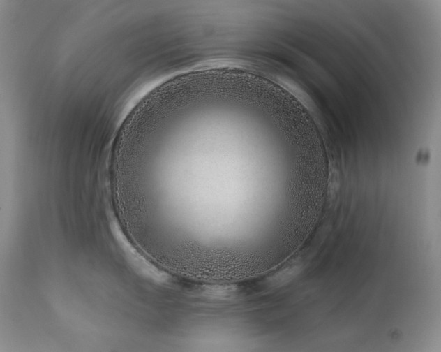 X0000113121055200908281433