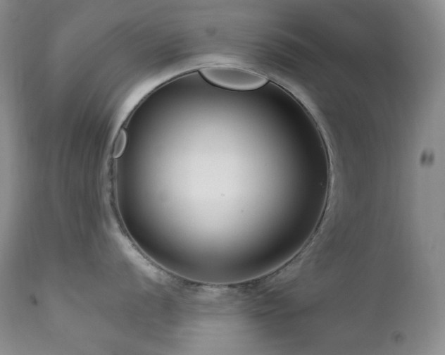 X0000113121056200908281433