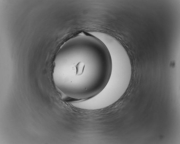 X0000113121057200908281432