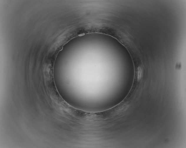 X0000113121059200908281432