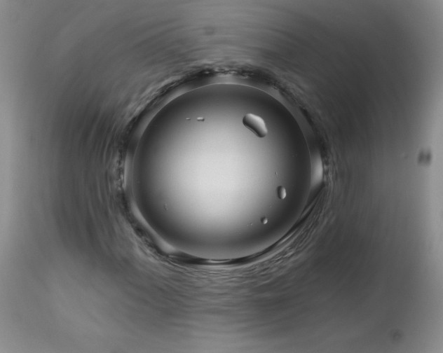 X0000113121060200908281432