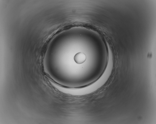 X0000113121061200908281432