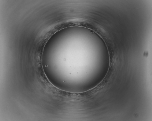 X0000113121062200908281432