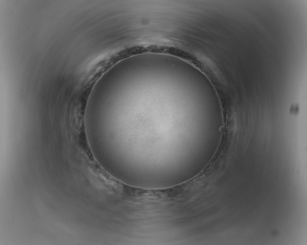 X0000113121063200908281432