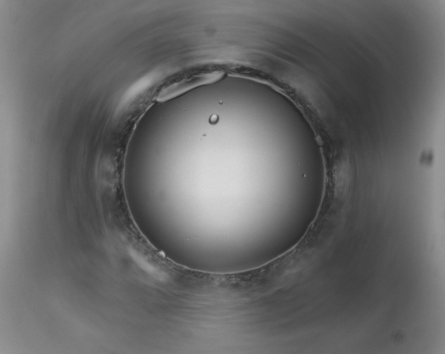 X0000113121064200908281432