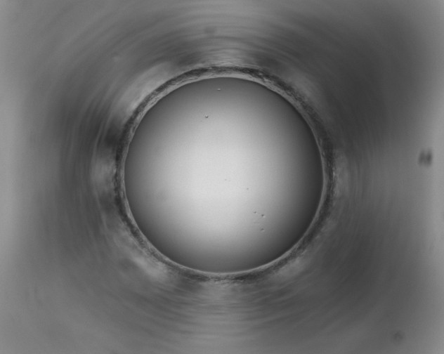 X0000113121065200908281432